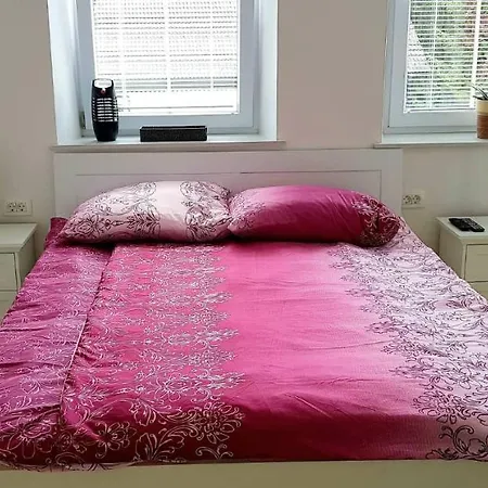 & Studio - Peter Pan Apartament *